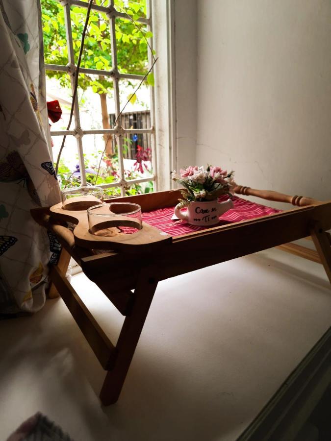 Casa Zaida Hostal Vintage Ríohacha Dış mekan fotoğraf