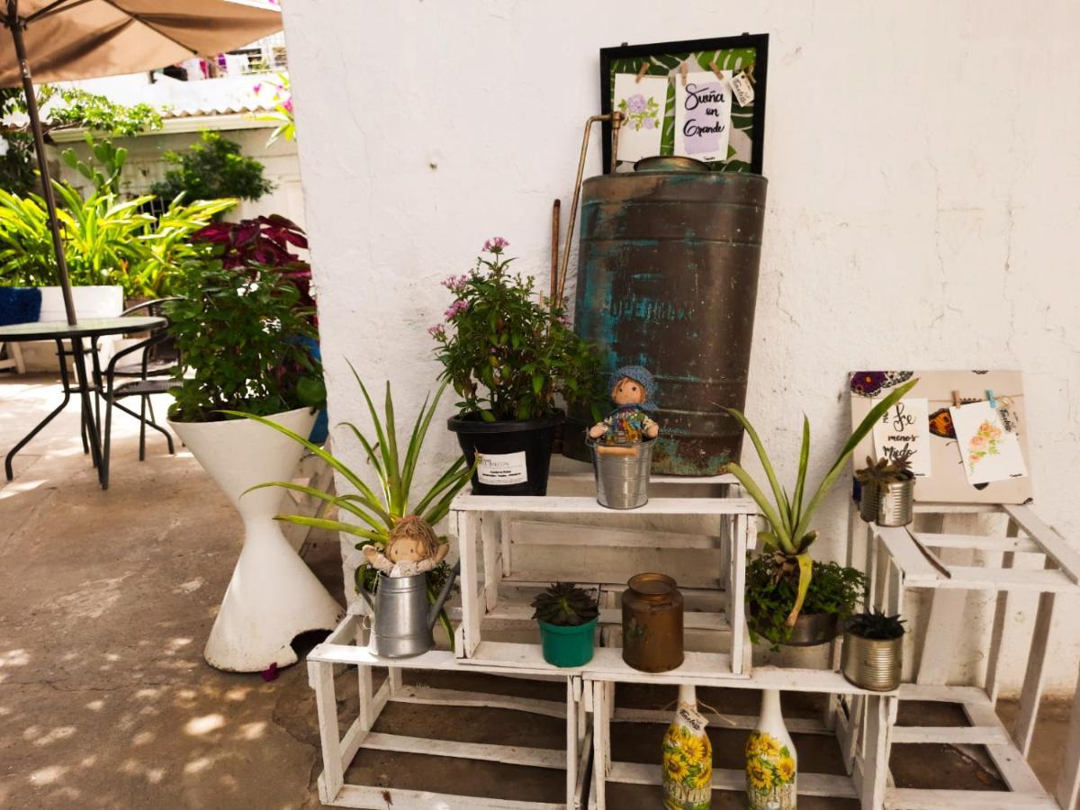 Casa Zaida Hostal Vintage Ríohacha Dış mekan fotoğraf